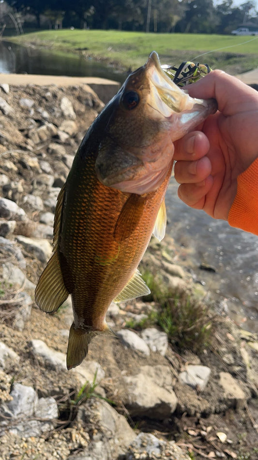 Fishing Coastal Mississippi for the First Time