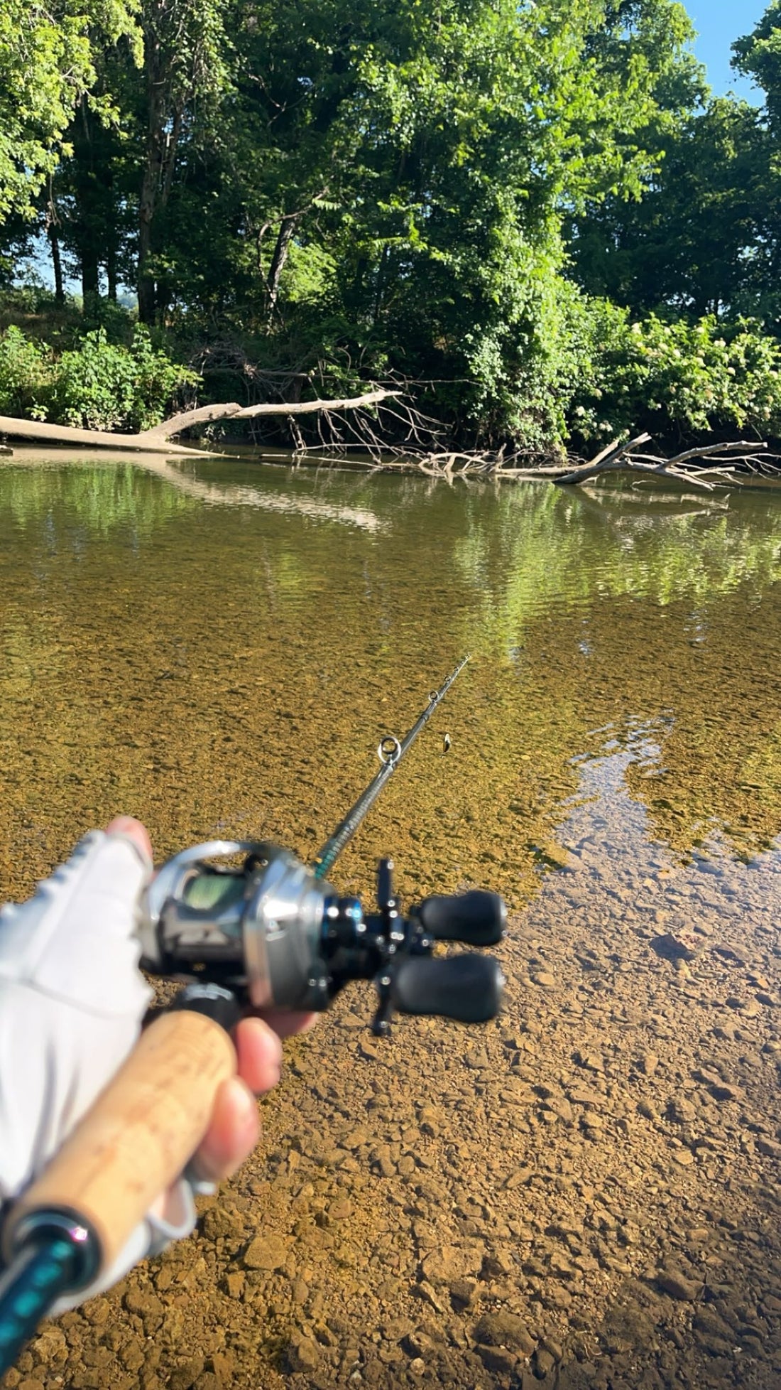 bass fishing finesse setup rod and reel Kestrel Combo For Bass, Trout, Panfish and Walleye, Best Bait Finesse System Fishing Rod Combo For Fishing This finesse fishing rod and reel combo offers anglers a lightweight and highly responsive fishing experience Mastering BFS: Unlock the Power