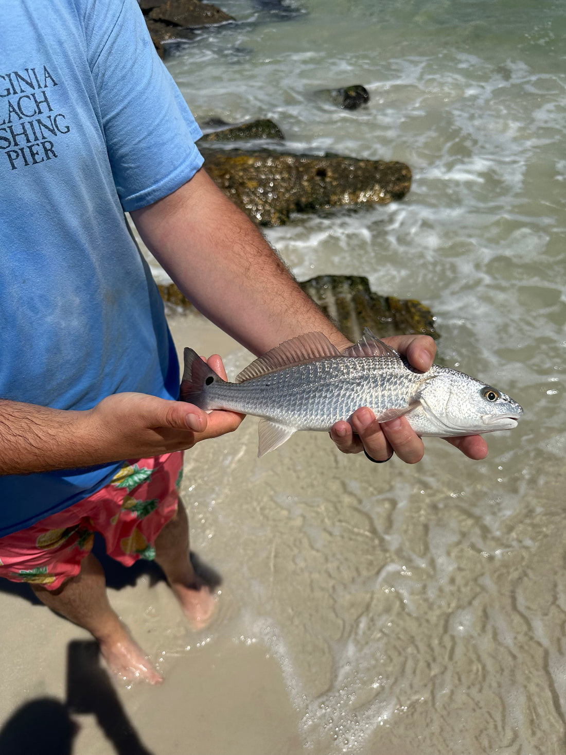 Switching It Up, Saltwater Style